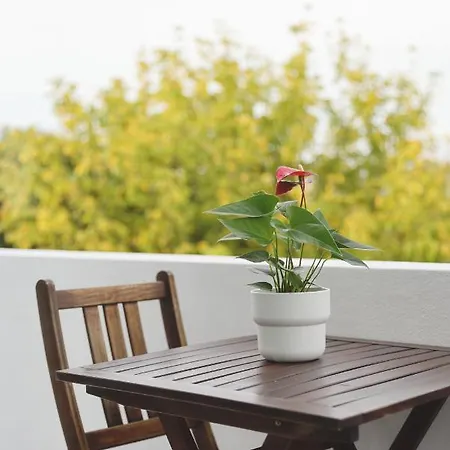 Boavista Sunlit Duplex With Terrace Appartement